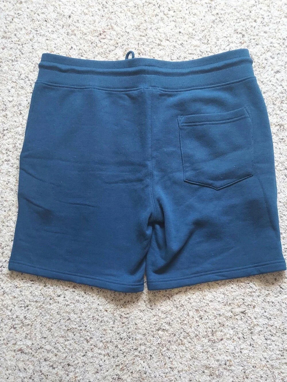 NWOT True Religion Horseshoe Logo Fleece Cotton Shorts Turquoise Blue Large